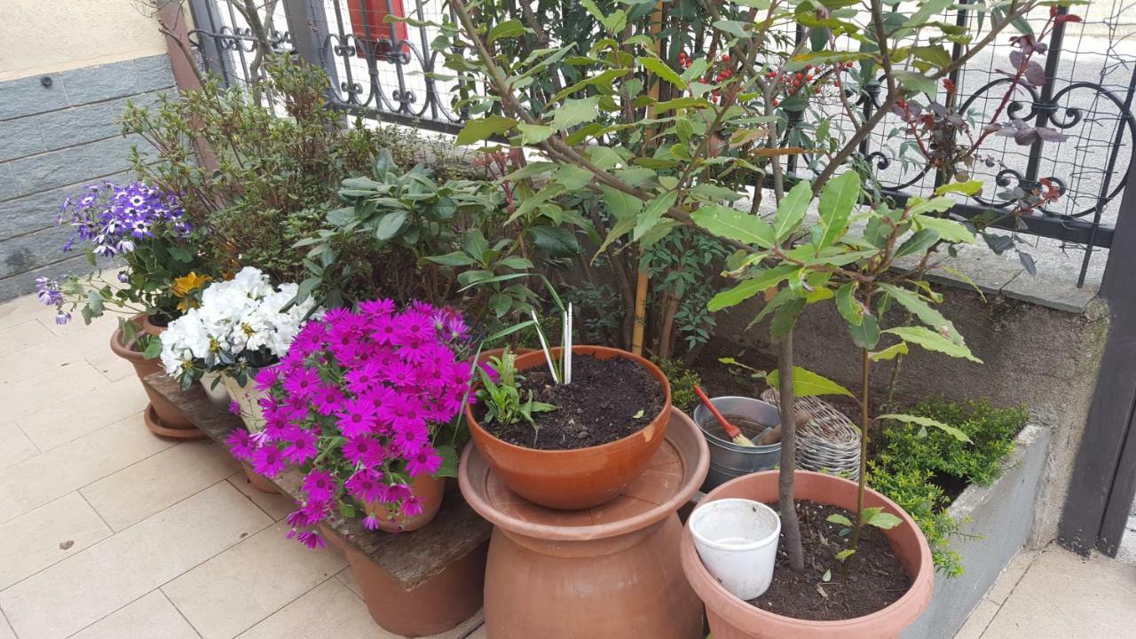 Monteceneri 9 B&B Rho Εξωτερικό φωτογραφία
